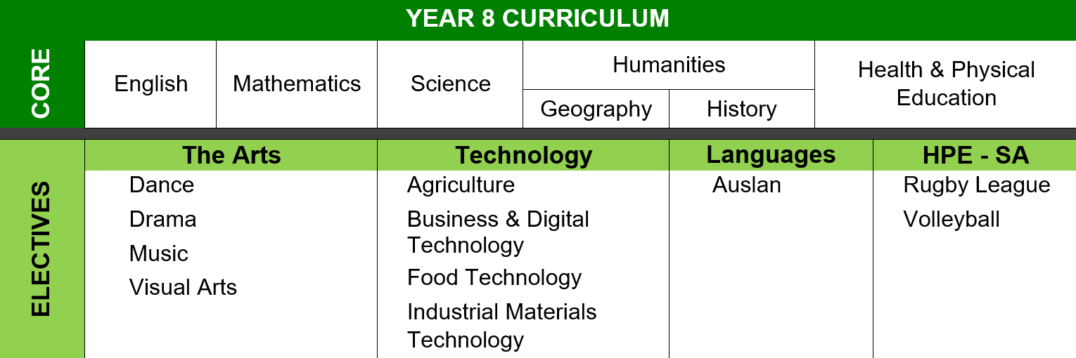 Year 8 Curriculum 2027.png
